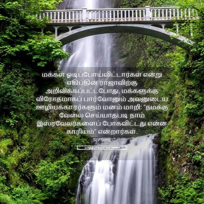 Picture 05 - யாத்திராகமம் 14:5 TAMIRV - மக்கள் - Bible Verse Picture