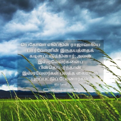 Picture 05 - யாத்திராகமம் 14:8 TAMIRV - யெகோவா எகிப்தின் - Bible Verse Picture