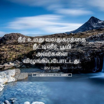 Picture 05 - யாத்திராகமம் 15:12 TAMIRV - நீர் உமது - Bible Verse Picture