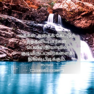 Picture 05 - யாத்திராகமம் 15:14 TAMIRV - மக்கள் அதைக் - Bible Verse Picture