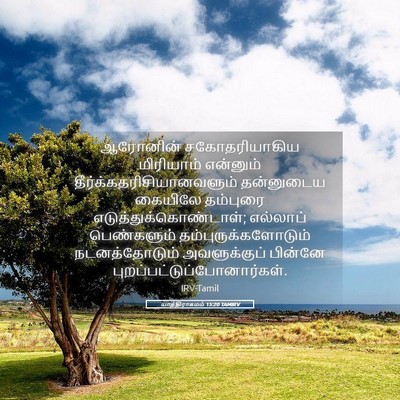 Picture 05 - யாத்திராகமம் 15:20 TAMIRV - ஆரோனின் - Bible Verse Picture