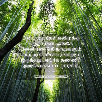 Picture 05 - யாத்திராகமம் 15:27 TAMIRV - பின்பு அவர்கள் - Bible Verse Picture