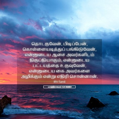 Picture 05 - யாத்திராகமம் 15:9 TAMIRV - தொடருவேன், - Bible Verse Picture