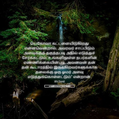Picture 05 - யாத்திராகமம் 16:16 TAMIRV - யெகோவா - Bible Verse Picture