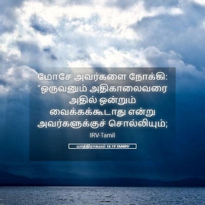 Picture 05 - யாத்திராகமம் 16:19 TAMIRV - மோசே அவர்களை - Bible Verse Picture