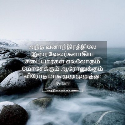 Picture 05 - யாத்திராகமம் 16:2 TAMIRV - அந்த - Bible Verse Picture
