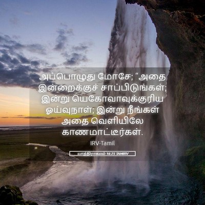 Picture 05 - யாத்திராகமம் 16:25 TAMIRV - அப்பொழுது மோசே; - Bible Verse Picture