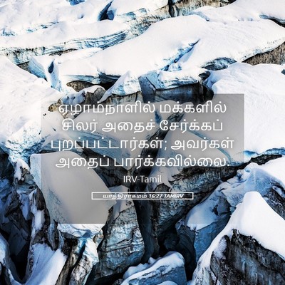 Picture 05 - யாத்திராகமம் 16:27 TAMIRV - ஏழாம்நாளில் - Bible Verse Picture