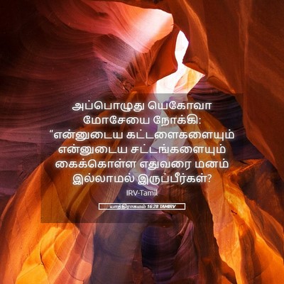 Picture 05 - யாத்திராகமம் 16:28 TAMIRV - அப்பொழுது யெகோவா - Bible Verse Picture