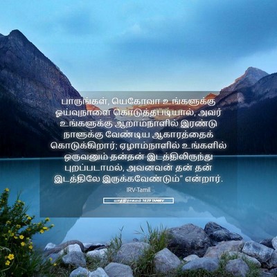 Picture 05 - யாத்திராகமம் 16:29 TAMIRV - பாருங்கள், யெகோவா - Bible Verse Picture