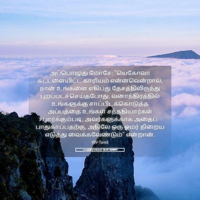 Picture 05 - யாத்திராகமம் 16:32 TAMIRV - அப்பொழுது மோசே: - Bible Verse Picture