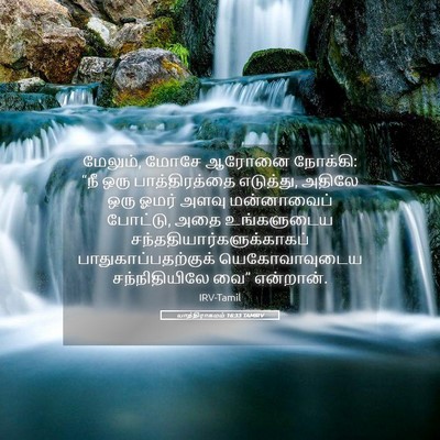 Picture 05 - யாத்திராகமம் 16:33 TAMIRV - மேலும், மோசே ஆரோனை - Bible Verse Picture
