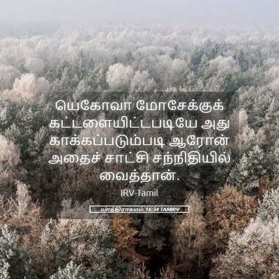 Picture 05 - யாத்திராகமம் 16:34 TAMIRV - யெகோவா மோசேக்குக் - Bible Verse Picture
