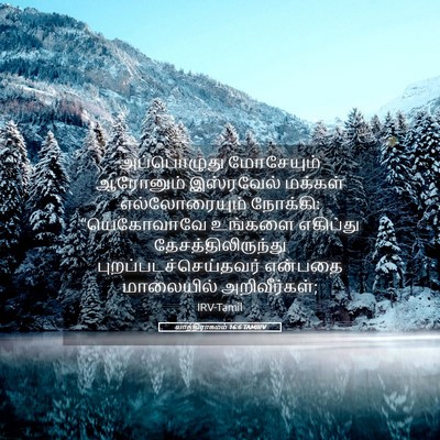 Picture 05 - யாத்திராகமம் 16:6 TAMIRV - அப்பொழுது - Bible Verse Picture