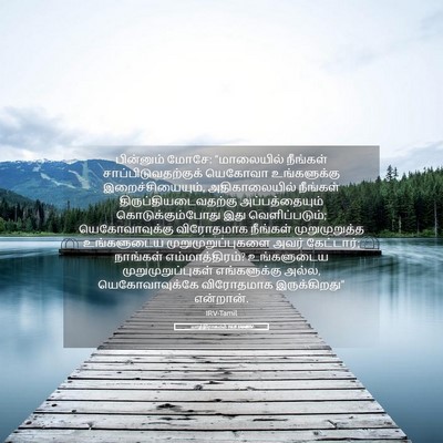 Picture 05 - யாத்திராகமம் 16:8 TAMIRV - பின்னும் மோசே: - Bible Verse Picture