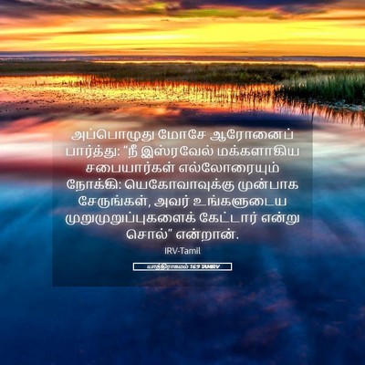 Picture 05 - யாத்திராகமம் 16:9 TAMIRV - அப்பொழுது மோசே - Bible Verse Picture