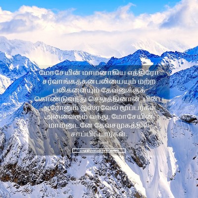 Picture 05 - யாத்திராகமம் 18:12 TAMIRV - மோசேயின் மாமனாகிய - Bible Verse Picture
