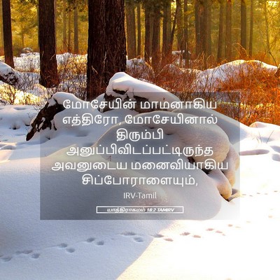 Picture 05 - யாத்திராகமம் 18:2 TAMIRV - மோசேயின் மாமனாகிய - Bible Verse Picture