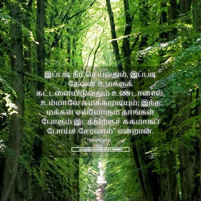Picture 05 - யாத்திராகமம் 18:23 TAMIRV - இப்படி நீர் - Bible Verse Picture