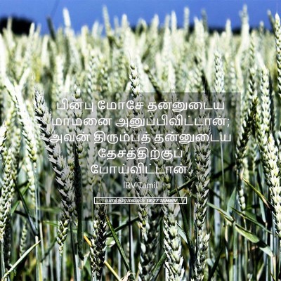 Picture 05 - யாத்திராகமம் 18:27 TAMIRV - பின்பு மோசே - Bible Verse Picture
