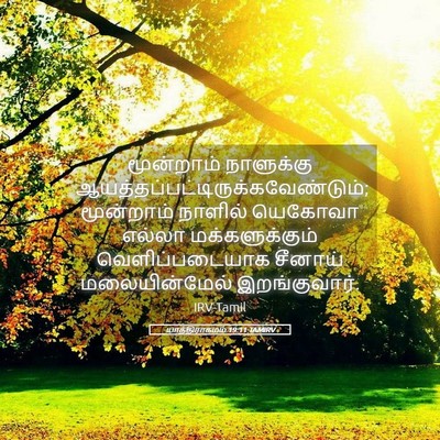 Picture 05 - யாத்திராகமம் 19:11 TAMIRV - மூன்றாம் நாளுக்கு - Bible Verse Picture