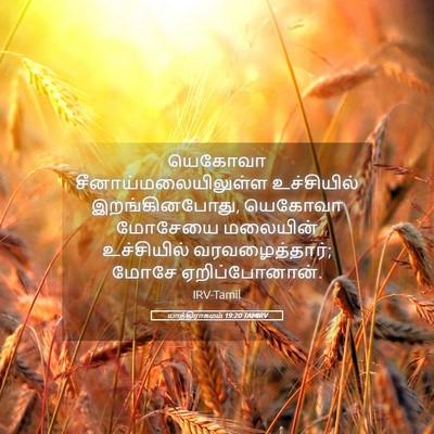 Picture 05 - யாத்திராகமம் 19:20 TAMIRV - யெகோவா - Bible Verse Picture