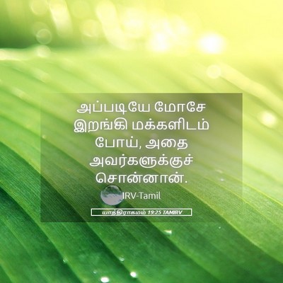Picture 05 - யாத்திராகமம் 19:25 TAMIRV - அப்படியே மோசே - Bible Verse Picture