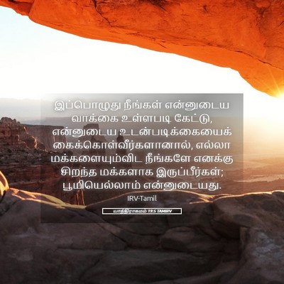 Picture 05 - யாத்திராகமம் 19:5 TAMIRV - இப்பொழுது நீங்கள் - Bible Verse Picture