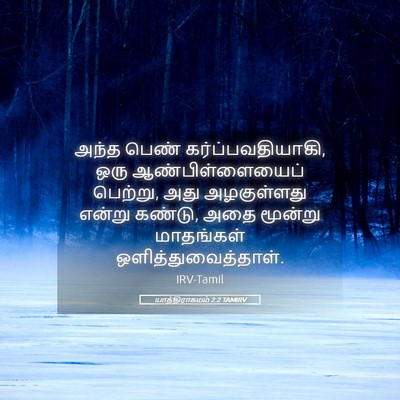 Picture 05 - யாத்திராகமம் 2:2 TAMIRV - அந்த பெண் - Bible Verse Picture