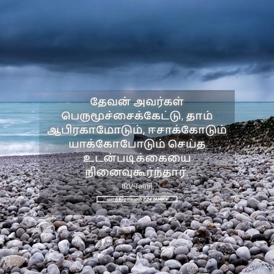 Picture 05 - யாத்திராகமம் 2:24 TAMIRV - தேவன் அவர்கள் - Bible Verse Picture