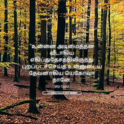 Picture 05 - யாத்திராகமம் 20:2 TAMIRV - “உன்னை அடிமைத்தன - Bible Verse Picture
