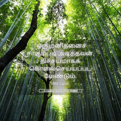 Picture 05 - யாத்திராகமம் 21:12 TAMIRV - “ஒரு மனிதனைச் - Bible Verse Picture