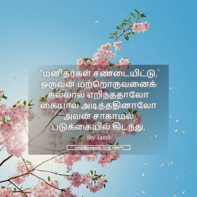 Picture 05 - யாத்திராகமம் 21:18 TAMIRV - “மனிதர்கள் - Bible Verse Picture