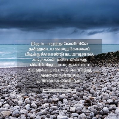 Picture 05 - யாத்திராகமம் 21:19 TAMIRV - திரும்ப எழுந்து - Bible Verse Picture