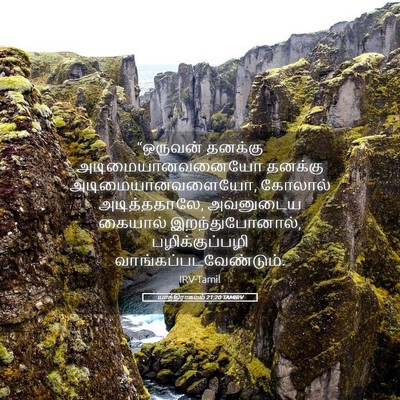 Picture 05 - யாத்திராகமம் 21:20 TAMIRV - “ஒருவன் தனக்கு - Bible Verse Picture