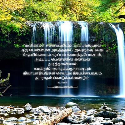 Picture 05 - யாத்திராகமம் 21:22 TAMIRV - “மனிதர்கள் - Bible Verse Picture