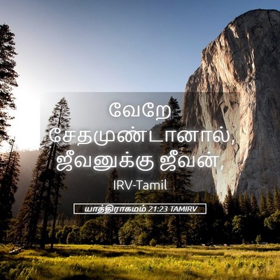 Picture 05 - யாத்திராகமம் 21:23 TAMIRV - வேறே - Bible Verse Picture