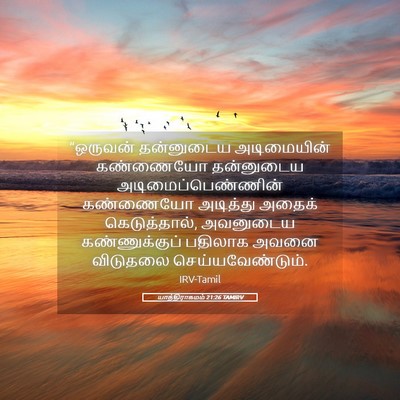 Picture 05 - யாத்திராகமம் 21:26 TAMIRV - “ஒருவன் தன்னுடைய - Bible Verse Picture