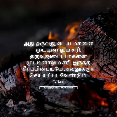 Picture 05 - யாத்திராகமம் 21:31 TAMIRV - அது ஒருவனுடைய - Bible Verse Picture