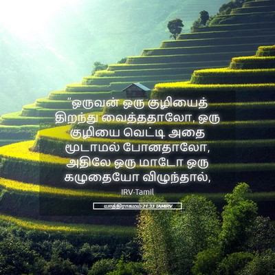Picture 05 - யாத்திராகமம் 21:33 TAMIRV - “ஒருவன் ஒரு - Bible Verse Picture