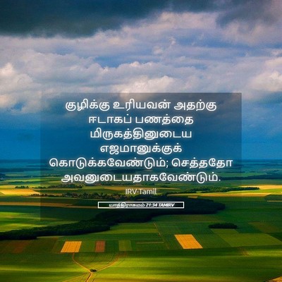 Picture 05 - யாத்திராகமம் 21:34 TAMIRV - குழிக்கு உரியவன் - Bible Verse Picture