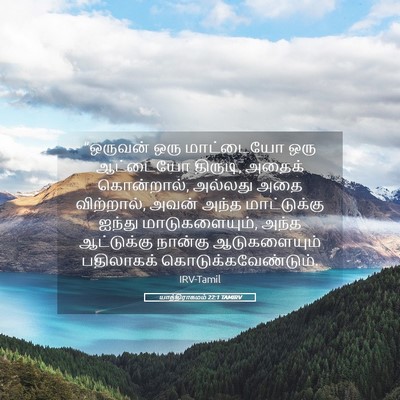 Picture 05 - யாத்திராகமம் 22:1 TAMIRV - “ஒருவன் ஒரு - Bible Verse Picture