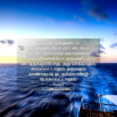 Picture 05 - யாத்திராகமம் 22:10 TAMIRV - ஒருவன் தன்னுடைய - Bible Verse Picture