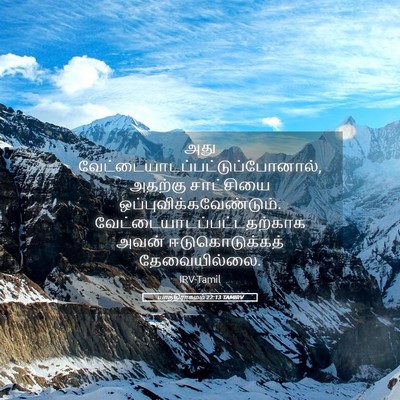 Picture 05 - யாத்திராகமம் 22:13 TAMIRV - அது - Bible Verse Picture