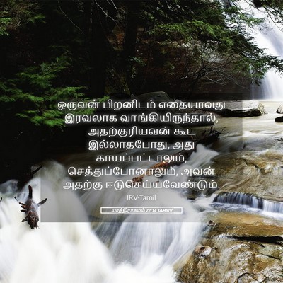 Picture 05 - யாத்திராகமம் 22:14 TAMIRV - ஒருவன் பிறனிடம் - Bible Verse Picture