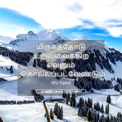 Picture 05 - யாத்திராகமம் 22:19 TAMIRV - மிருகத்தோடு - Bible Verse Picture