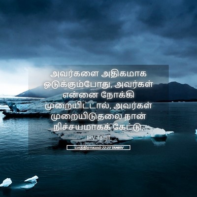 Picture 05 - யாத்திராகமம் 22:23 TAMIRV - அவர்களை அதிகமாக - Bible Verse Picture
