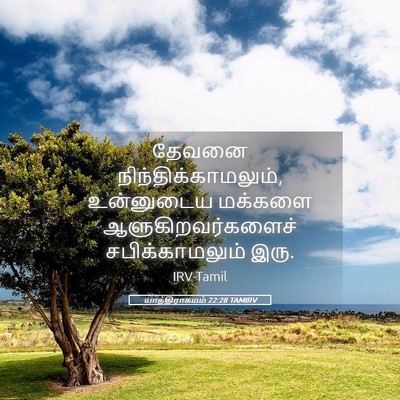 Picture 05 - யாத்திராகமம் 22:28 TAMIRV - தேவனை - Bible Verse Picture