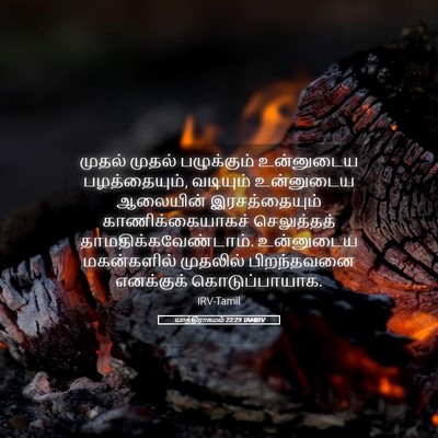 Picture 05 - யாத்திராகமம் 22:29 TAMIRV - முதல் முதல் - Bible Verse Picture