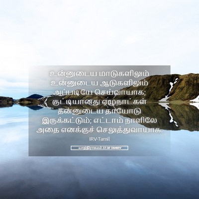 Picture 05 - யாத்திராகமம் 22:30 TAMIRV - உன்னுடைய - Bible Verse Picture